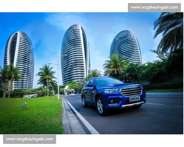 H2比赛精彩回顾与未来发展趋势全面解析与展望