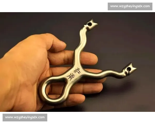 专业弹弓比赛技巧解析与装备选择全面指南